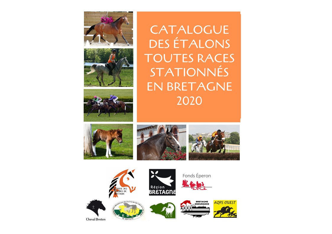 Inscriptions catalogue en ligne des étalons toutes races stationnés en Bretagne