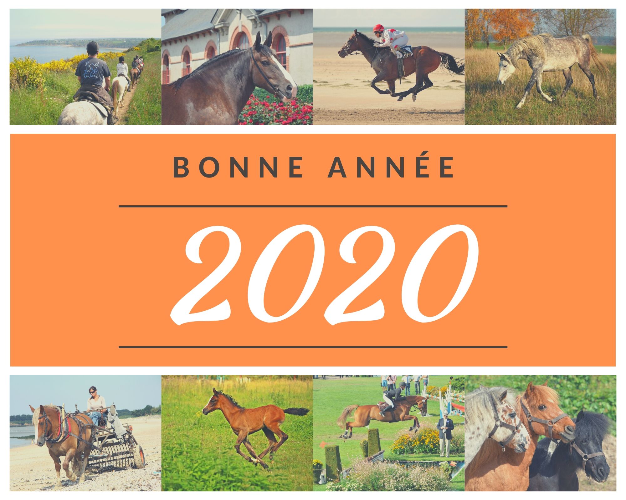 Bonne année 2020