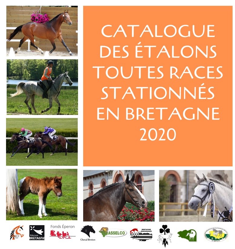 Le catalogue en ligne des étalons toutes races stationnés en Bretagne