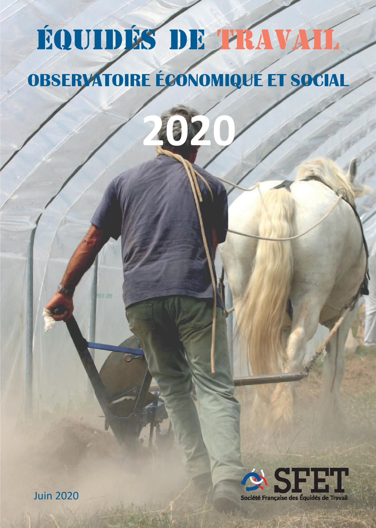 Observatoire économique et social des Equidés de Travail