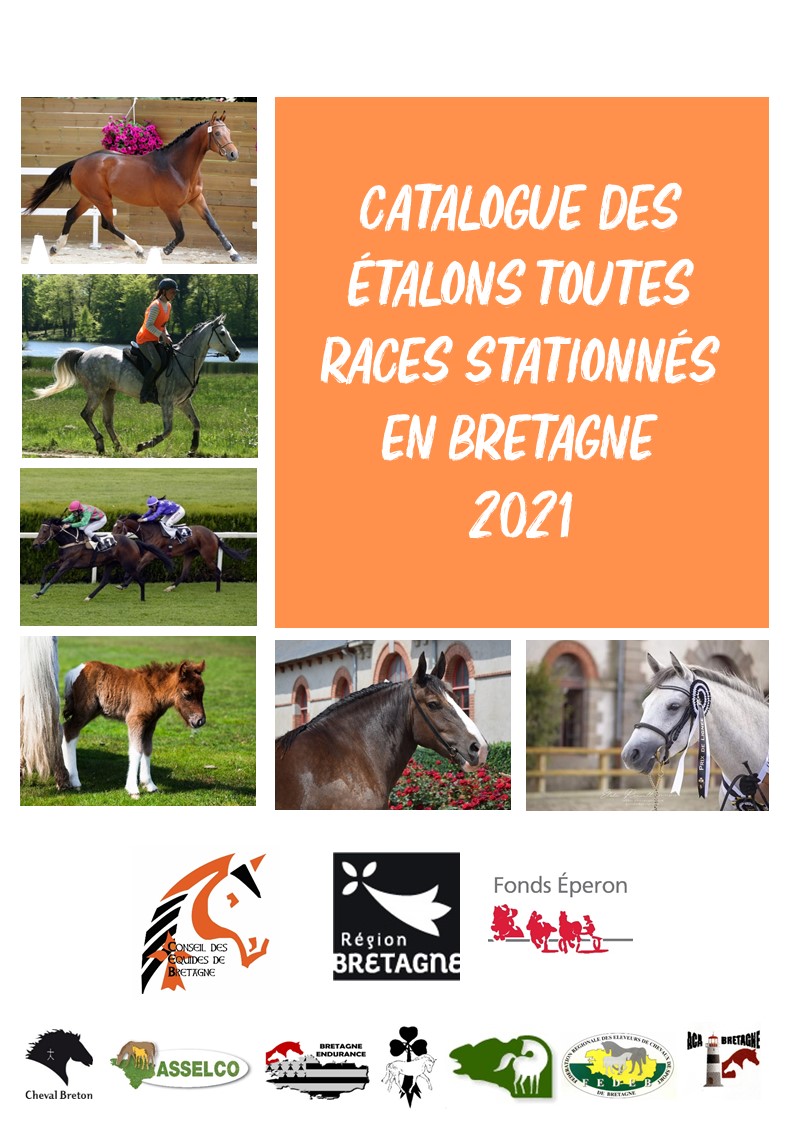 Le catalogue en ligne 2021 des étalons toutes races stationnés en Bretagne