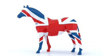 Impacts du Brexit sur l’import/export d’équidés au Royaume-Uni