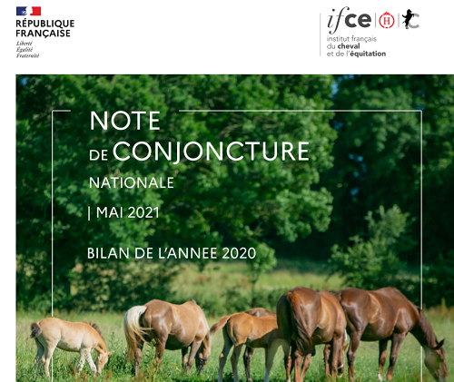 Note de conjoncture IFCE : bilan de l'année 2020