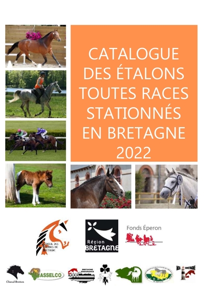 Inscrivez votre étalon dans le catalogue 2022 des étalons stationnés en Bretagne