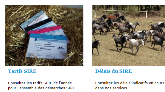 SIRE : tarifs et nouveautés 2022