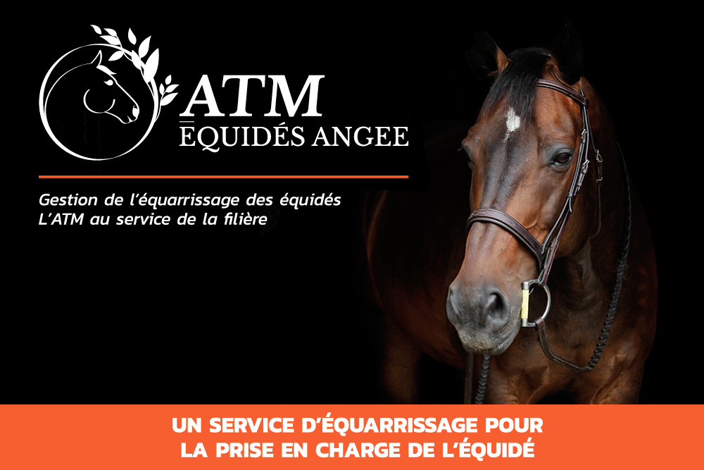 Gestion de l'équarrissage des équidés - ATM Equidés ANGEE