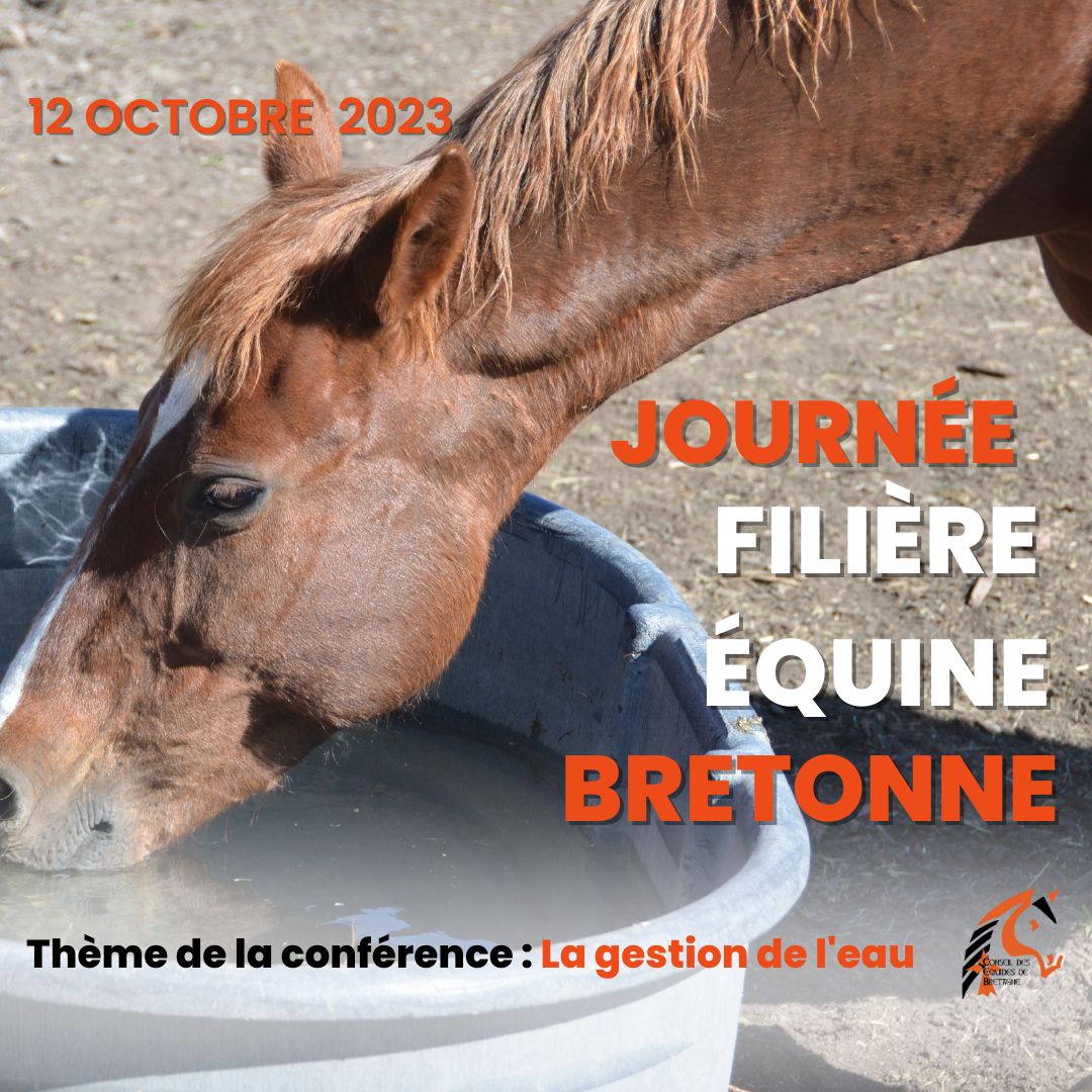 Journée Filière Equine Bretonne