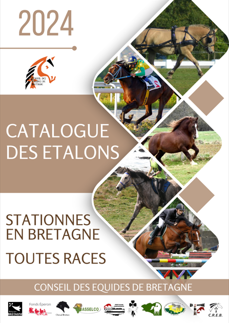 Le Catalogue des Etalons stationnés en Bretagne, toutes races est disponible !