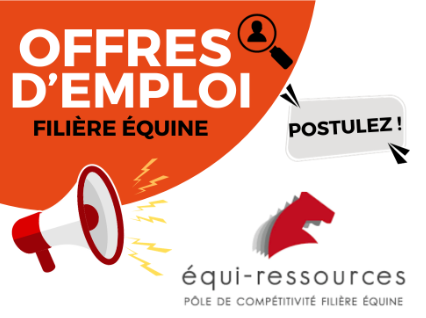 Bilan des offres d'emploi Equiressources au 29 Mars 2023