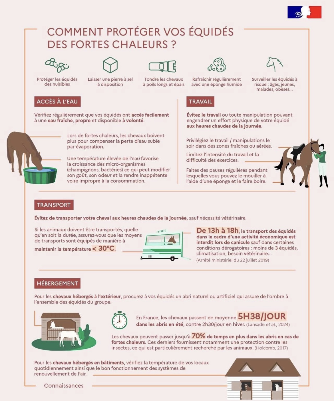 Comment protéger vos équidés des fortes chaleurs ?