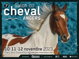 Le Conseil des Equidés de Bretagne sera présent au Salon du Cheval d'Angers du 8 au 11 novembre