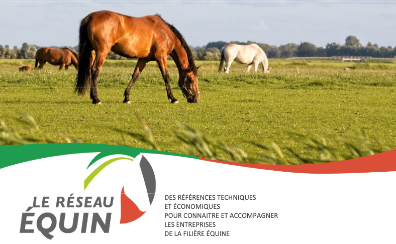 Synthèse nationale 2025 du Réseau Équin : les chiffres clés à retenir