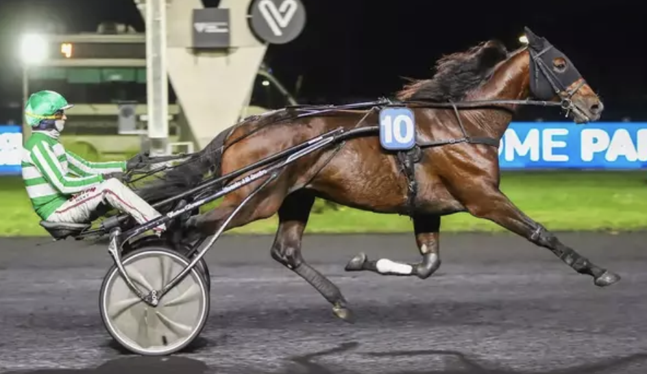 Les hippodromes du Morbihan à l’honneur à Vincennes