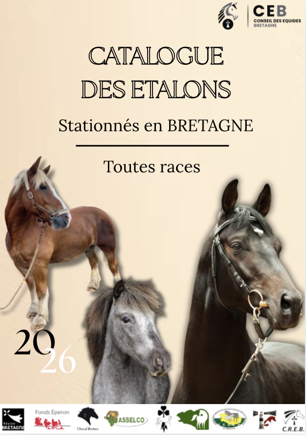Le Catalogue des Étalons 2026 stationnés en Bretagne, toutes races, est disponible !