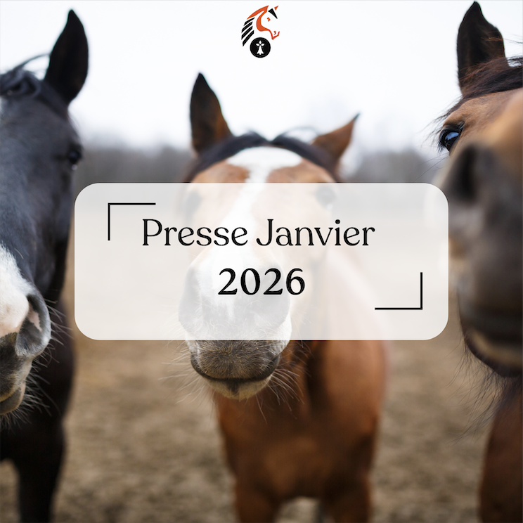 Article de presse Janvier 2026