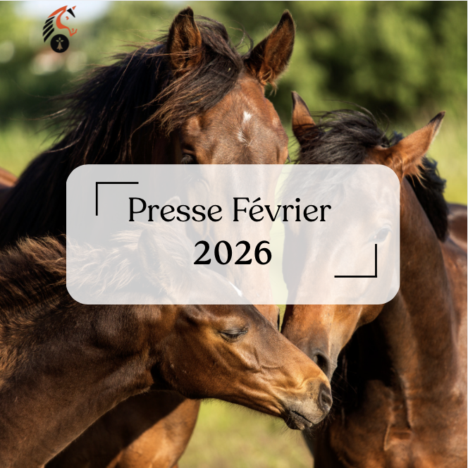 Article de presse Février 2026