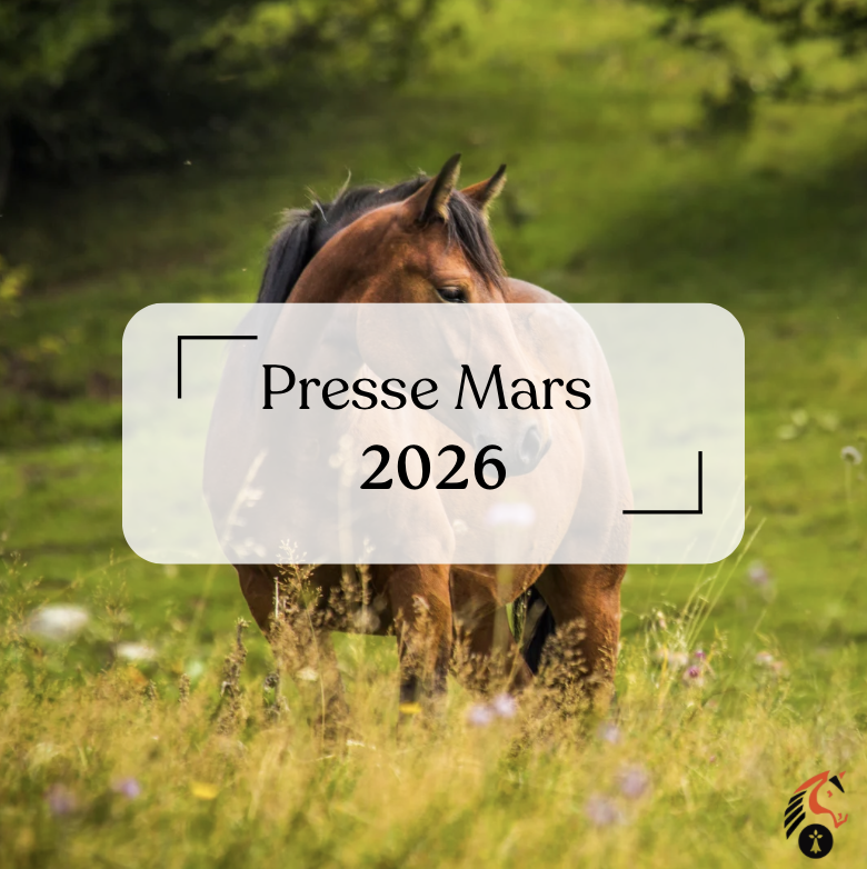 Article de presse Mars 2026
