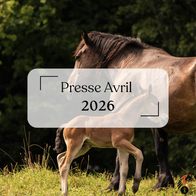 Article de presse Avril 2026