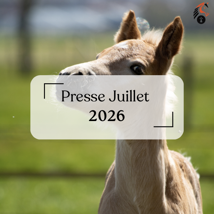 Article de presse Juillet 2026