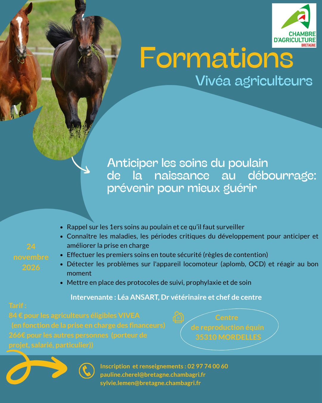 Formation : Anticiper les soins du poulain de la naissance au débourrage : prévenir pour mieux guérir - 24/11 à Mordelles