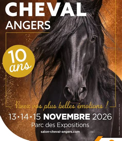 Le Conseil des Equidés de Bretagne sera présent au Salon du Cheval d'Angers du 13 au 15 novembre