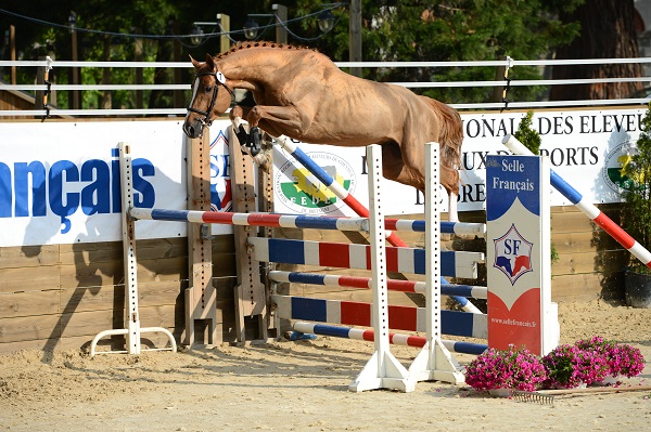 Qualifications étalons SBSF à Lamballe