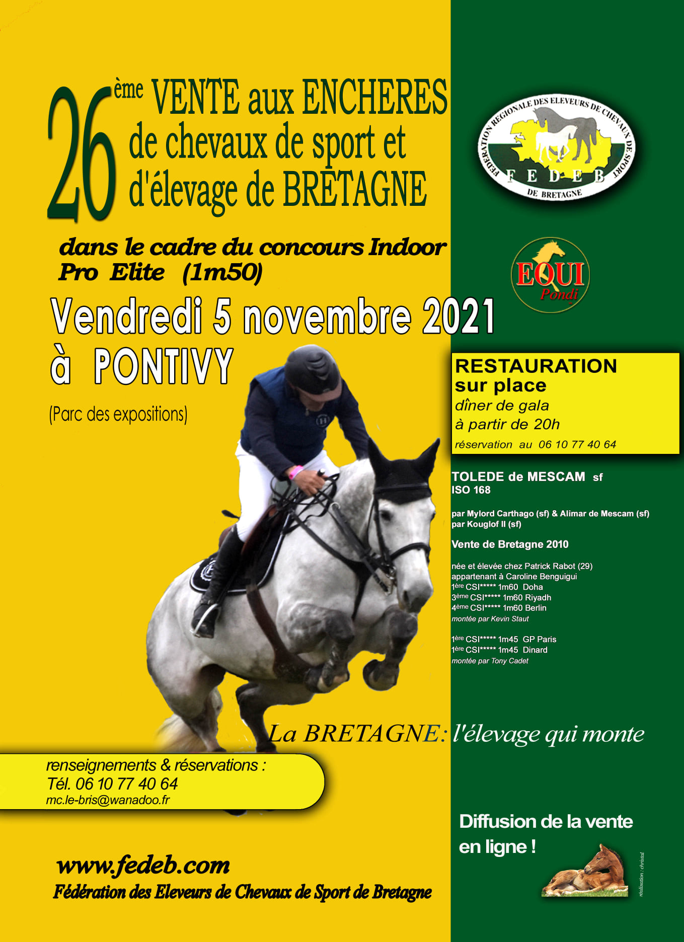 CSO - Pro Elite Amateur Prépa & 26ème vente de chevaux de sport de Bretagne - Pontivy (56)