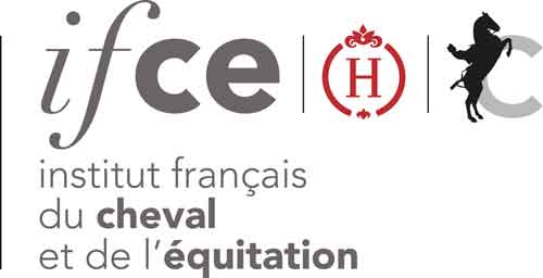 Formation IFCE : Manipulation des chevaux dans le cadre du travail