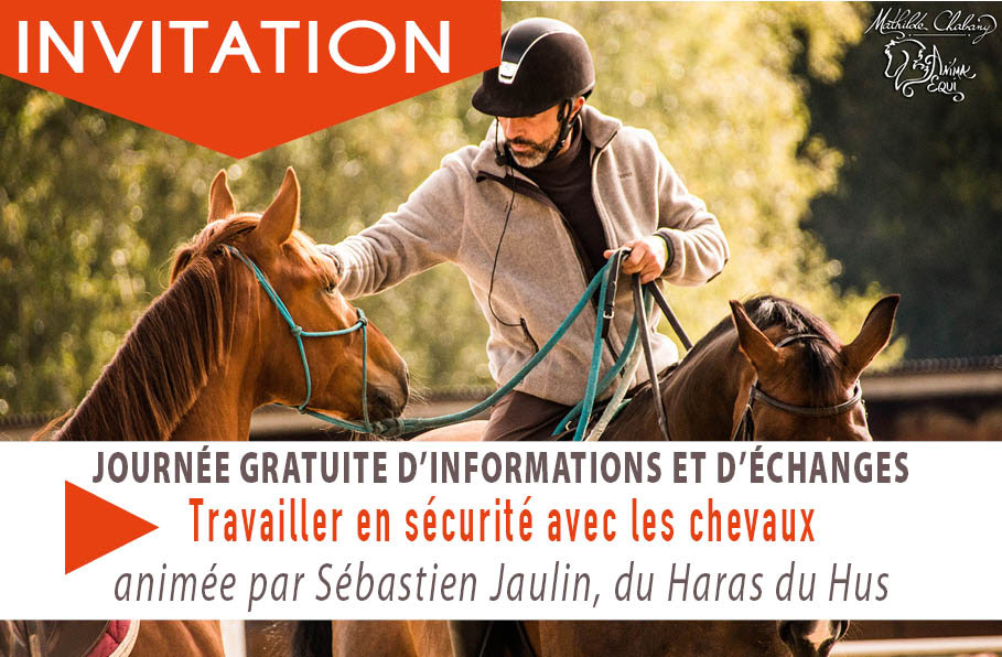 Journée d'information gratuite : Travailler en sécurité avec les chevaux