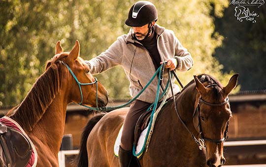 Journée d'information gratuite : « Travailler en sécurité avec les chevaux »