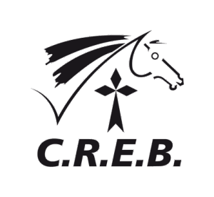 CREB - DRESSAGE - Pro Amateur Club Poney + SHF