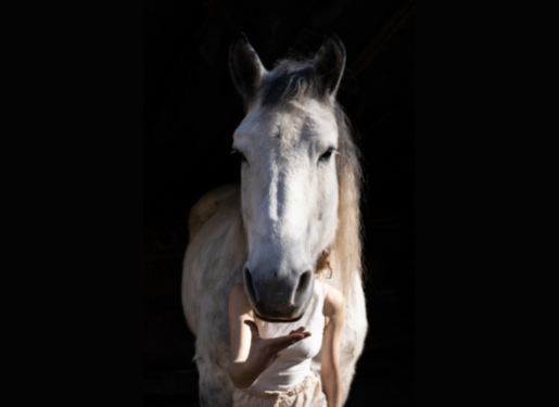 SPECTACLE ÉQUESTRE "UUKA" - Haras Hennebont