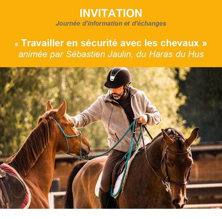 Formation MSA "Travailler en sécurité avec les chevaux"