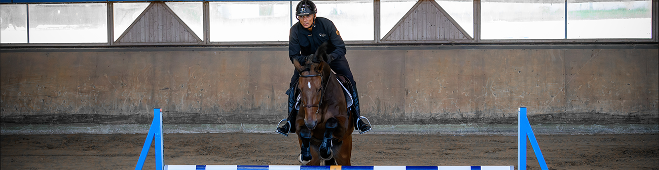 WEBconférence : Travail du cheval à l’obstacle sur une petite surface