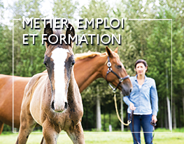 WEBconférence : Métier, emploi et formation : Métiers en élevage sport : évolution horizon 2030 ?