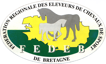 Vente aux enchères de chevaux de sport de Bretagne