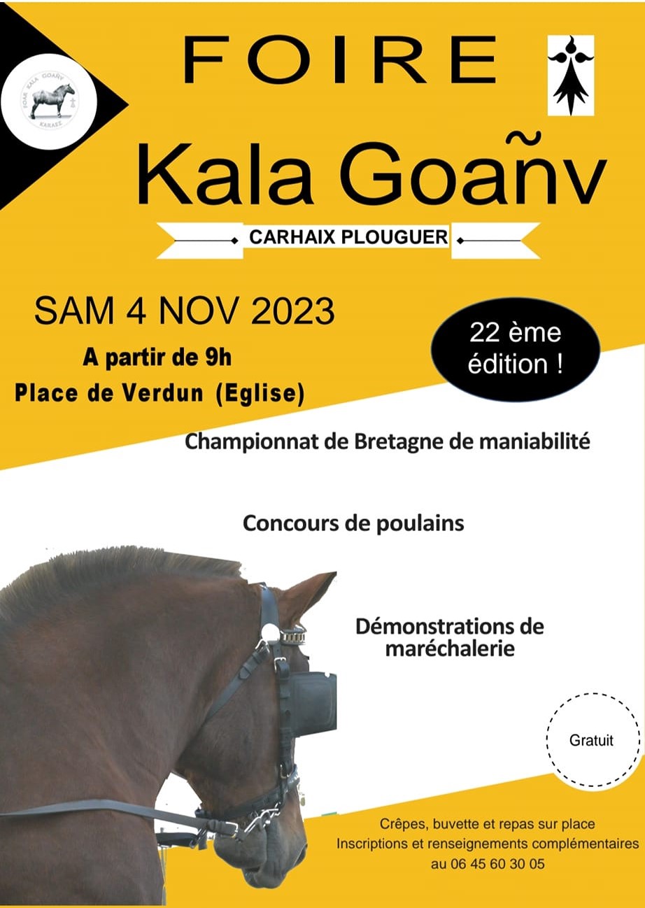 Foire aux chevaux Kala Goañv à Carhaix