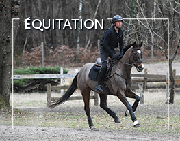 WEBconférence : Equitation : Planifier son entraînement en CCE