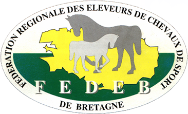 FEDEB - concours élevage régional (22) foals