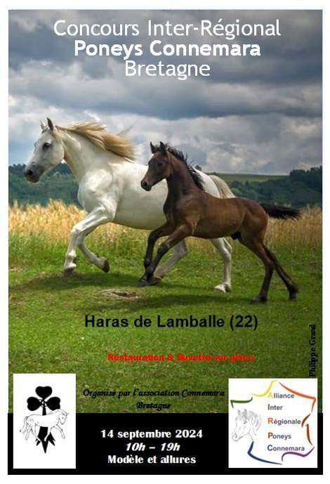 Concours inter régional connemara Bretagne