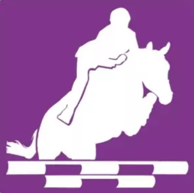 Championnats de Bretagne CSO Club