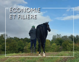 WEBconférence : Les obligations du détenteur d’équidés