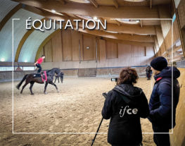 WEBconférence : Étude des enrênements du cheval de voltige