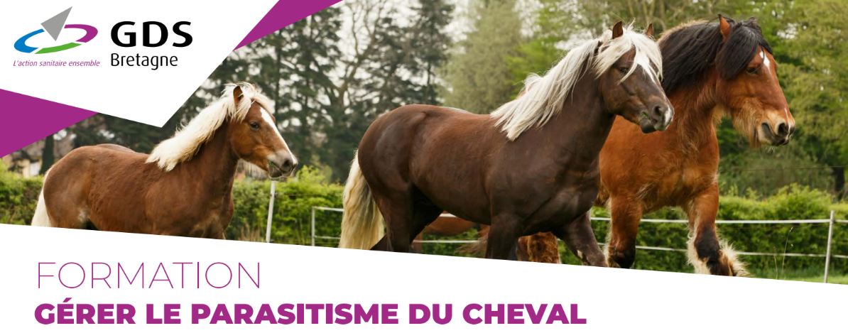 Formation : Gérer le parasitisme du cheval