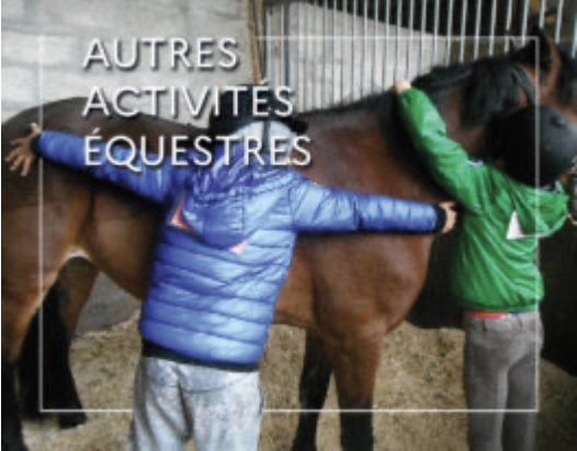 WEBconférence : Les chevaux, une aide à l’épanouissement scolaire