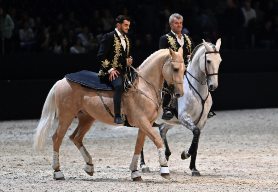 VISITE + SPECTACLE "LES 4 ÉLÉMENTS"