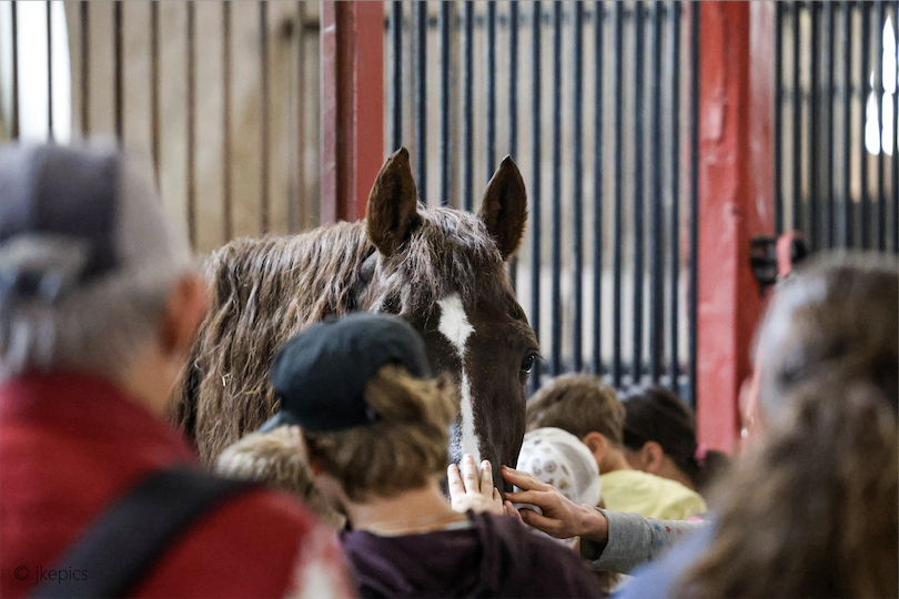 Vacances de février