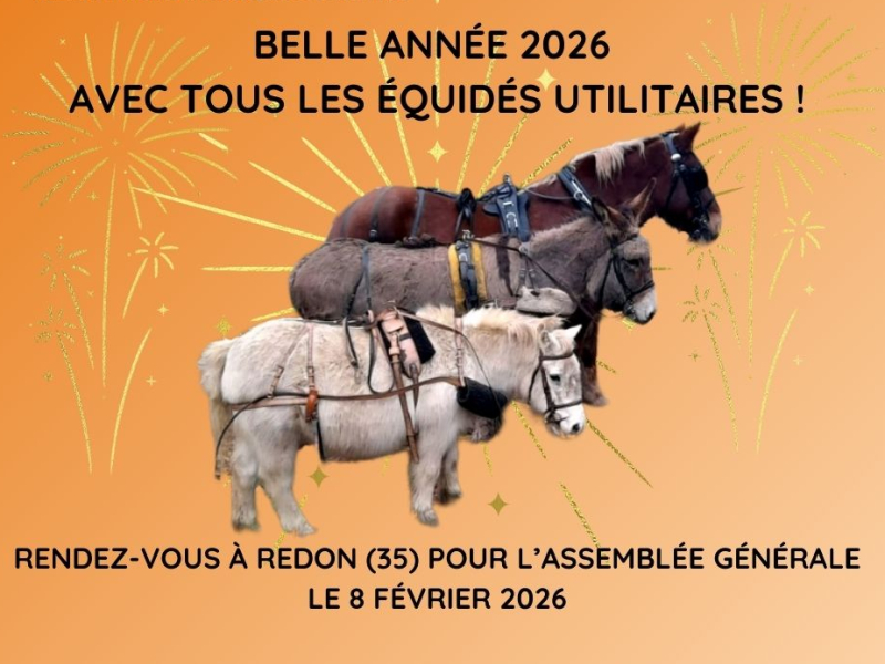 Assemblée générale du Réseau Faire à Cheval à Redon le 8 février 2026