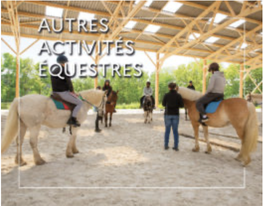 WEBconférence : La cavalerie de médiation équine : quels repères ?