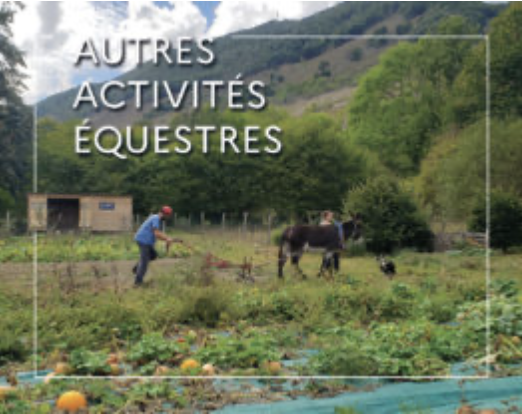 WEBconférence : La traction animale, vers une agriculture durable ?